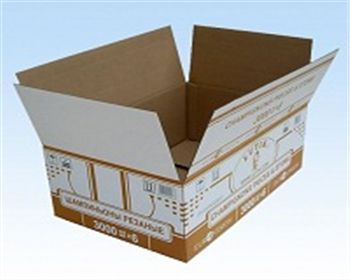 麗森印務(wù)設計印刷生産一(yi)條龍！