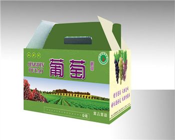 陝(shan)西包裝紙(zhǐ)箱